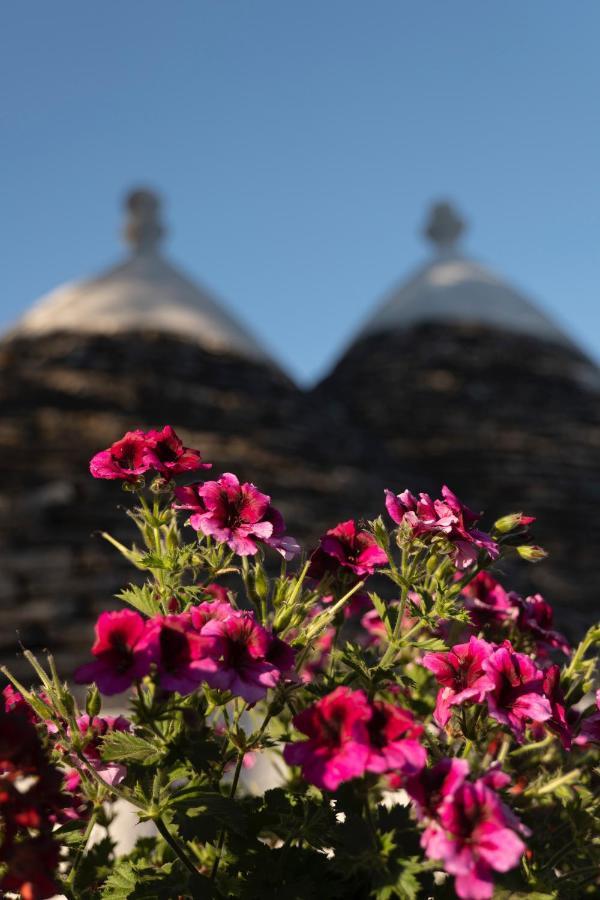 Trulli Ulivi Villa Putignano Exterior photo